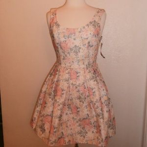 CHIC A BOOTI US Size 10 AUS Size 12 women's dress